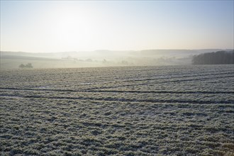Field landscape at sunrise in winter