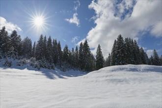 Winter landscape with sun