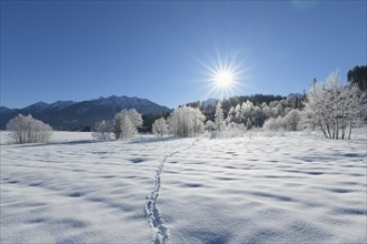 Winter landscape with sun near lake Barmsee