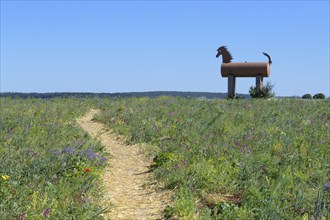 Path with Trojan horse in landscape