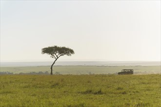 Savannah landscape with safari vehicle