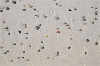 Sandy beach with pebble