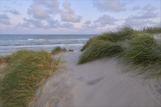Dune landscape with the north sea in the morning