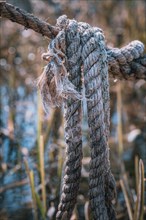 An old grey jute rope exposed to the weather