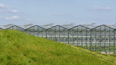 The greenhouse next to the green mound