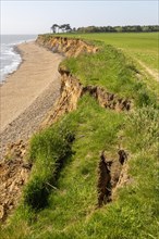 Soft cliffs rapid coastal erosion on North Sea coastline