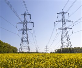 Pylons carrying high voltage electricity cables over countryside crop of yellow old seed rape