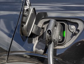 Close up of electric car vehicle charging Phoenix Contact system