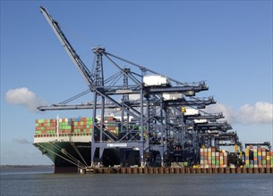 Ever Golden container ship cranes unloading