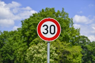 Traffic sign speed 30