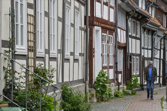 Half-timbered houses