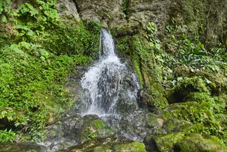 Spring at Misol-Ha Waterfall