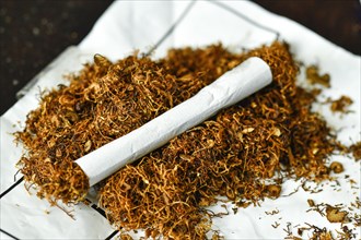 Roll-your-own tobacco cigarettes