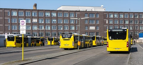 Terminal stop for Berliner Verkehrsbetriebe buses at Zoo station