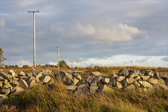 Evening sunshine on stone wall and telephone pole in County Galway. Galway