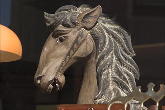 Horse head from an old rocking horse in a shop window
