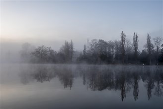 Morning mist in Wörlitz Park