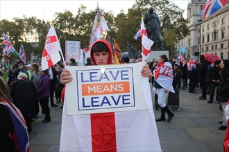 Man in St Georges colours and holding a Leave means Leave sign at Westminster