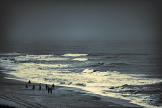 Walkers on the North Sea coast