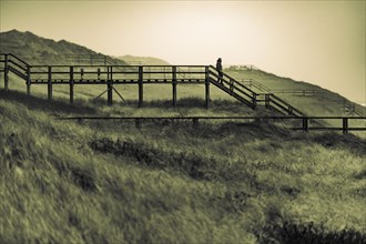 Footbridge with walker in dune landscape