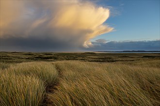 Dune Landscape with Thundercloud