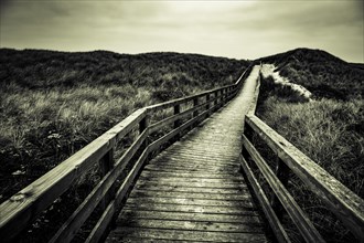 Footbridge in dune landscape