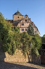 Medieval front castle with residential tower and Renaissance gables