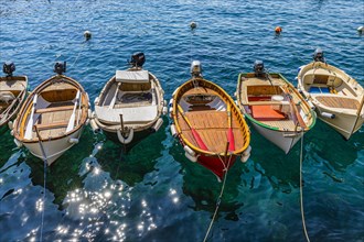 Colourful fishing boats reflected in the glittering water in the harbour of Manarola