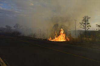 Burning road sign in a bushfire on the main road 251