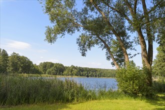 Lake Dagosee in summer