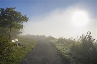 Path with bench and fog in autumn