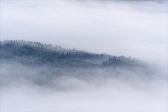View from Katzenbuckel mountain with morning mist