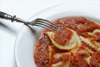 Ravioli with tomato sauce on plate with fork