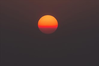 Red evening sun