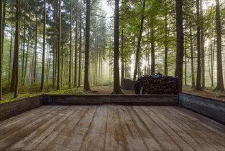 Wooden trailer loading in the forest