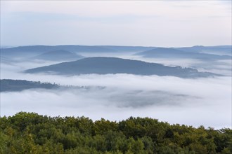 View from Katzenbuckel mountain with morning mist