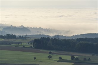 View from Katzenbuckel mountain with morning mist