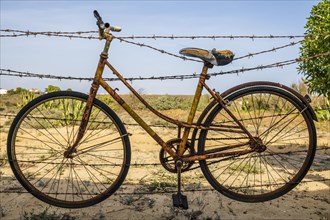 Old rusty bicycle hanging on barbed wire in Farol Island