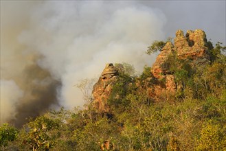 Bizarre rock formation at a bushfire in the national park