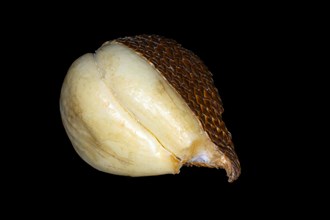 Salak