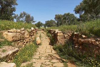 Spring in Crete