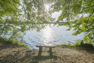 Bench on lake with sun