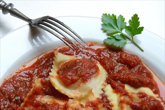 Ravioli with tomato sauce on plate with fork