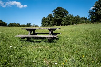 A park bench with table invites you to take a rest in a meadow