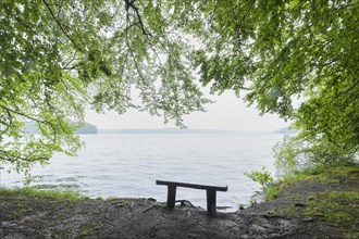 Bench on lake in the morning
