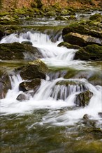 Mountain stream flows over moss-covered stones