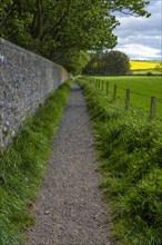 Path in countryside