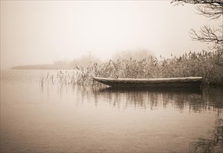 Fishing boat in the morning mist at the reed belt of the Irrsee