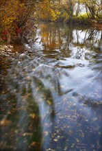 Mountain stream flows through autumnally coloured trees