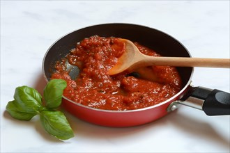 Pan with tomato sauce